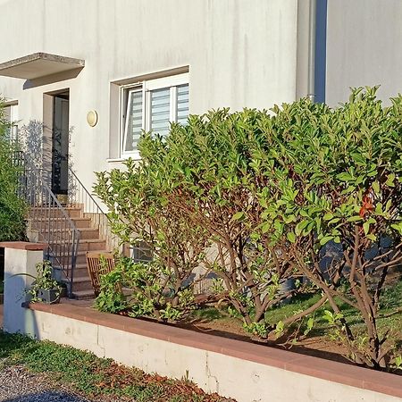 Strasbourg 3 Pieces Avec Jardin Appartement Brumath Buitenkant foto