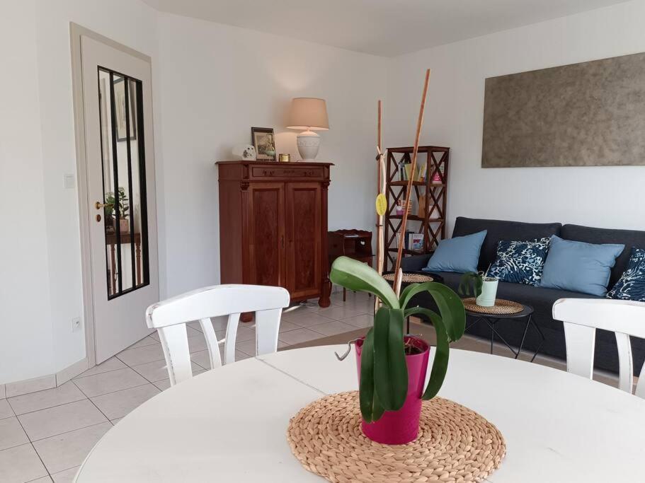 Strasbourg 3 Pieces Avec Jardin Appartement Brumath Buitenkant foto